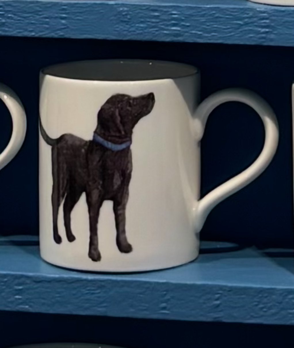 POP MUG - FEATHER LABRADOR DOG