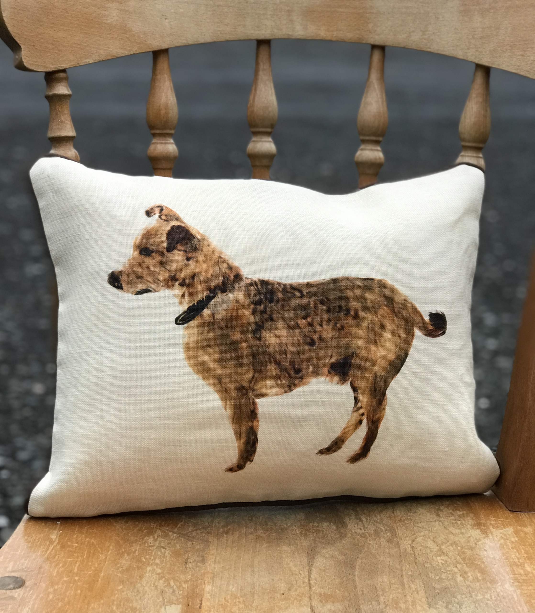 cubby dog cushion