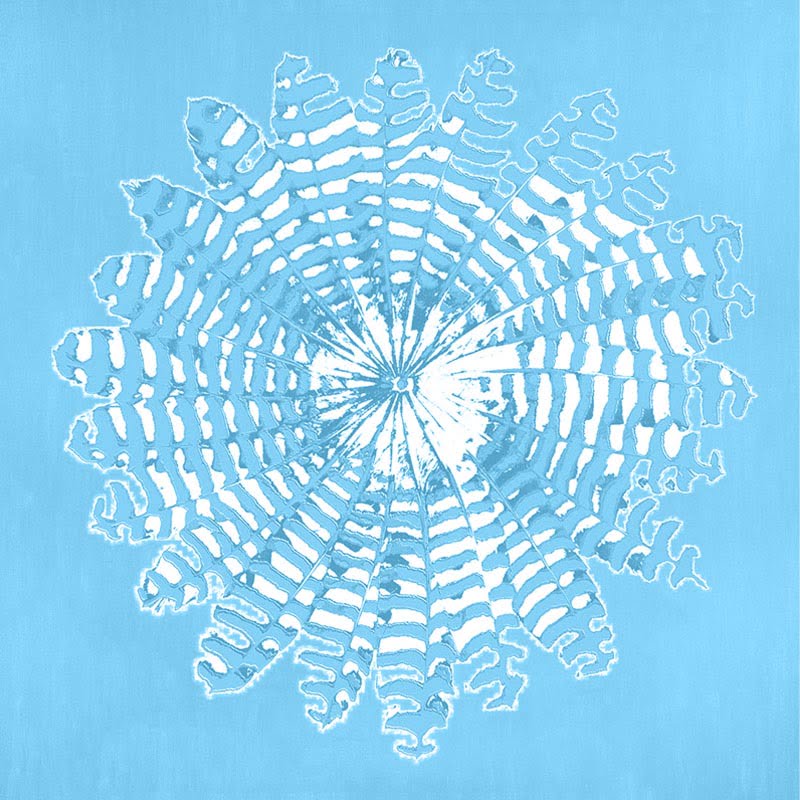 CARD SQUARE - White on Blue Feather Round