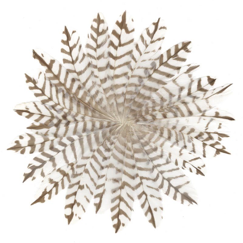 CARD SQUARE - Natural feather Snowflake