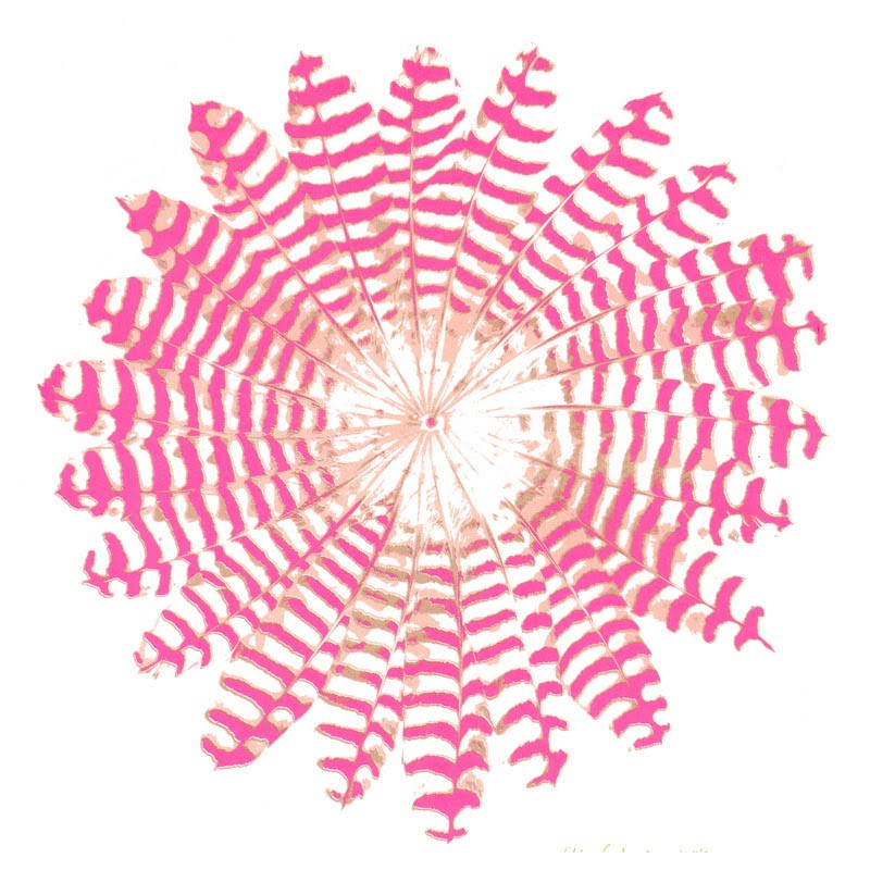 CARD SQUARE - Pink Feather Round