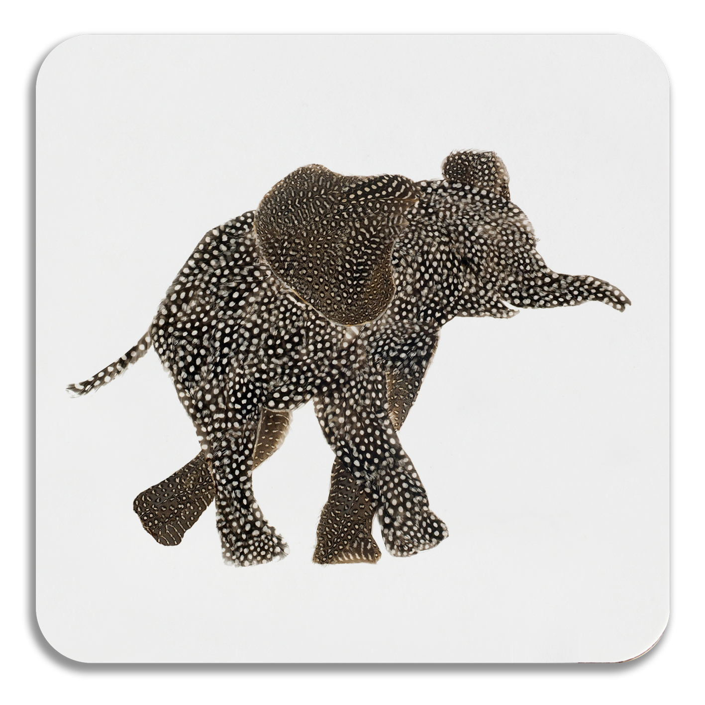 COASTER - Full Elephant Design
