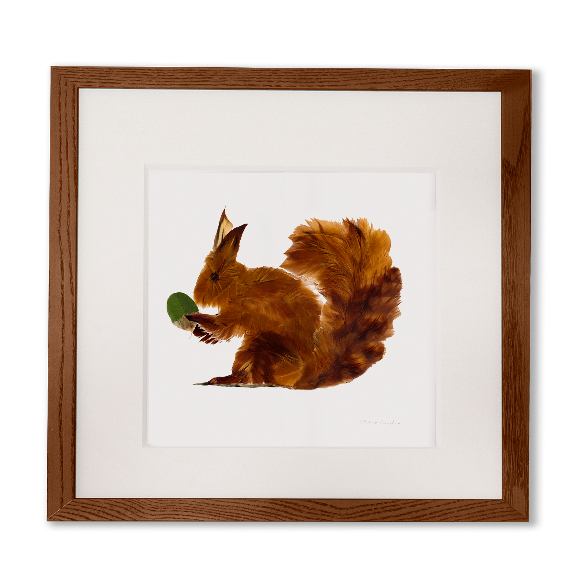 Order a Feather Squirrel Print - with or without leaves - various sizes available
