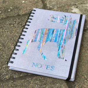 Notebook - Stags, with Elastic