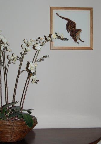 Deposit for Otter Print - please read description for total.