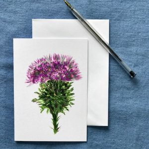 CARD A6 - Pink thistle on White