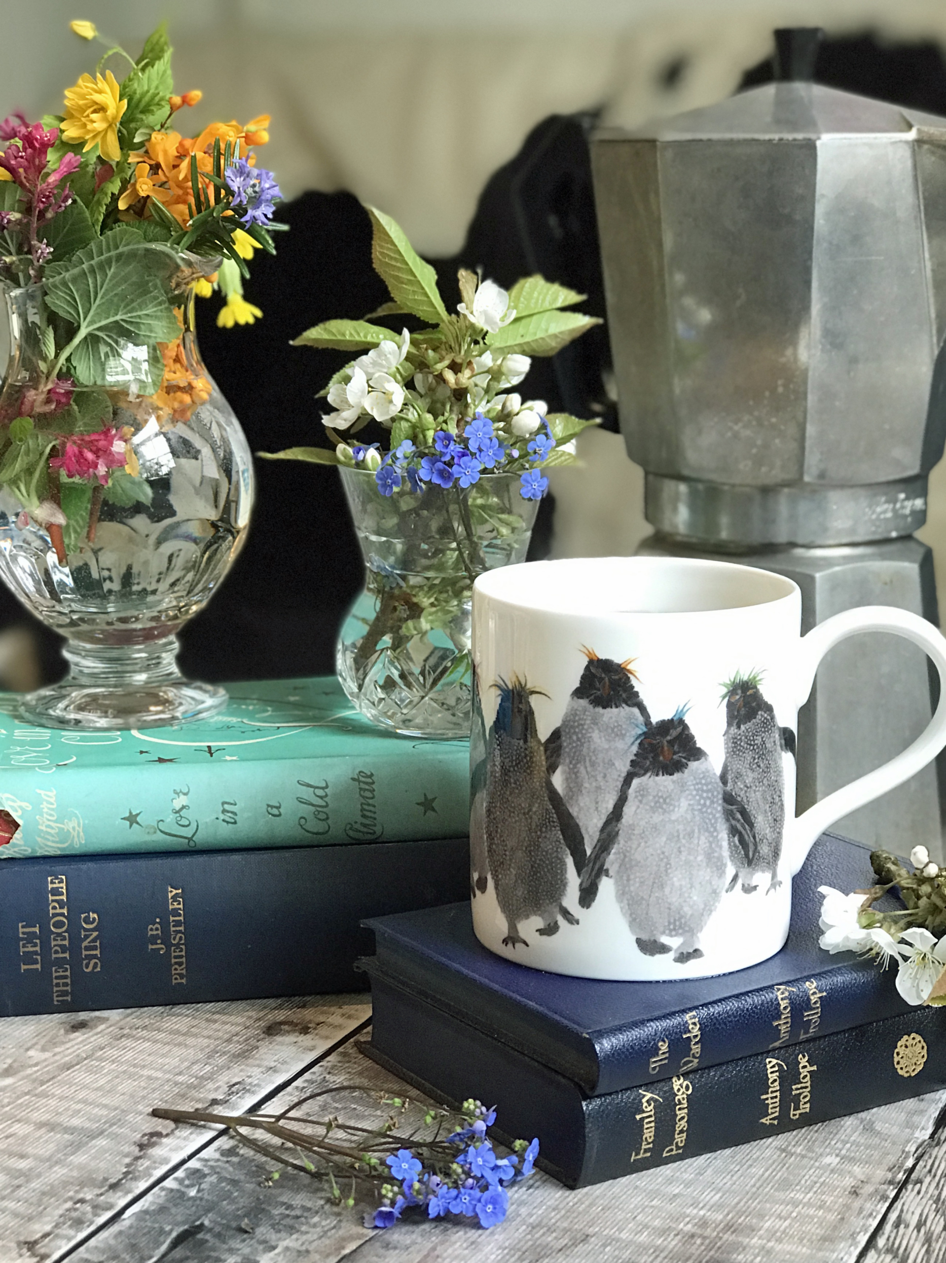 Mug pop Rockhoppers A