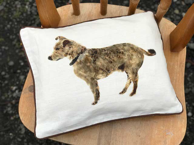 cuby-dog-cushion