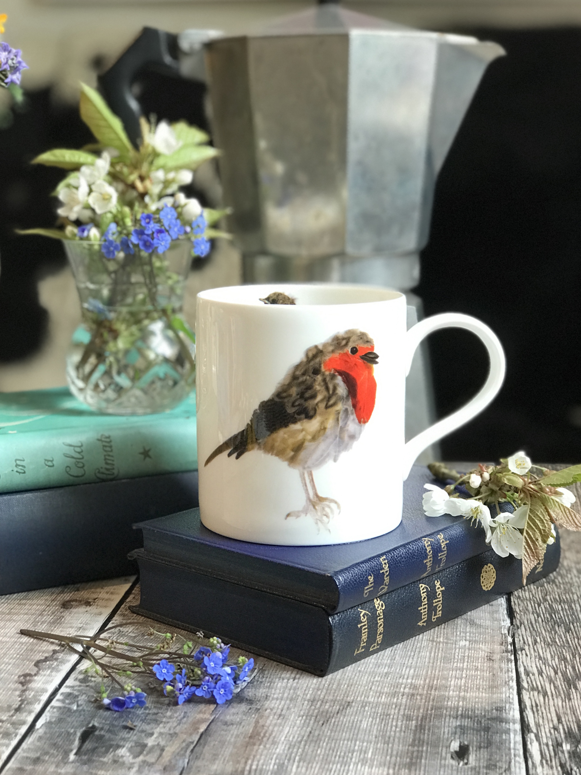 mug pop robin A