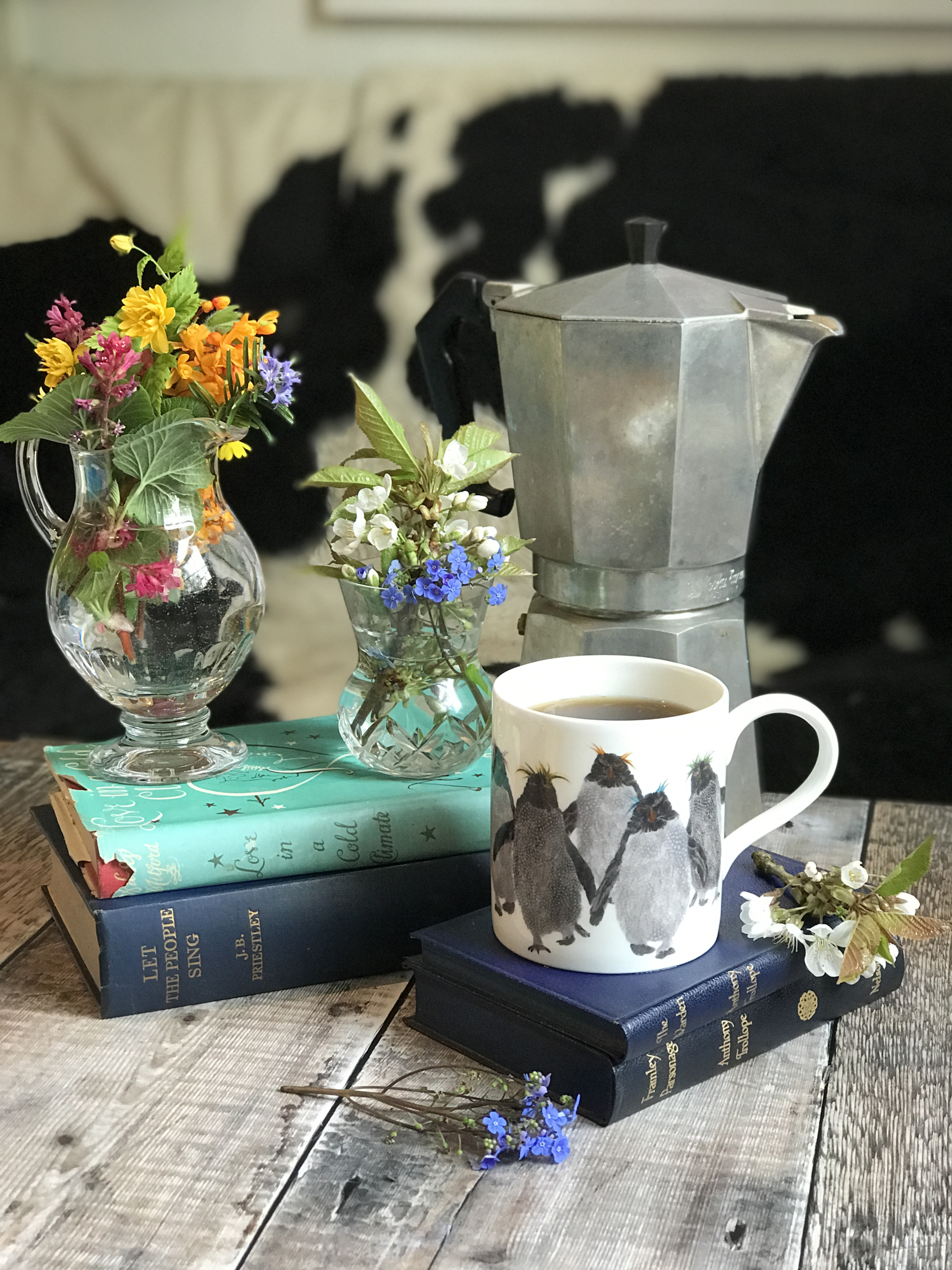 mug pop rockhoppers B