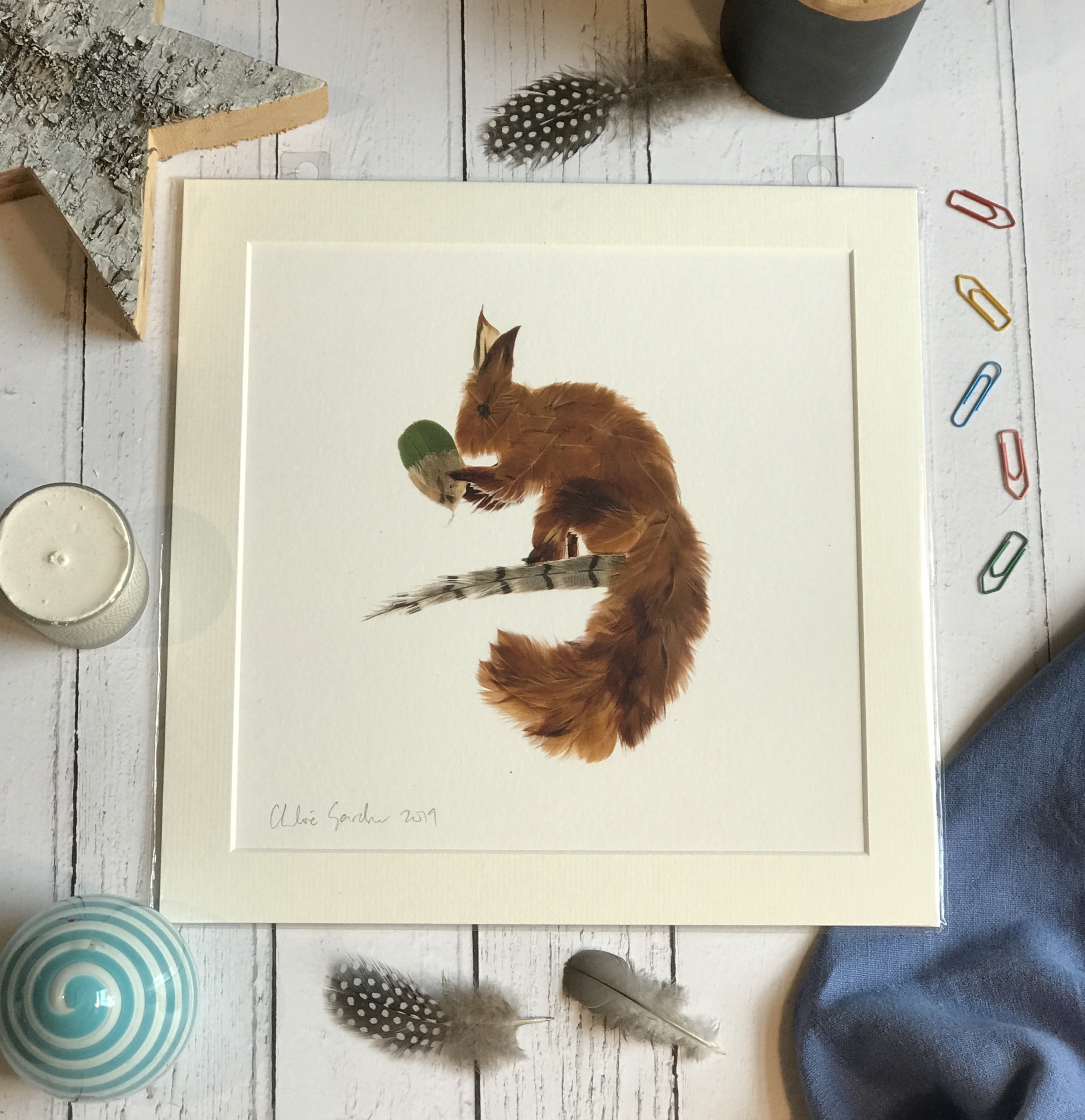 Unframed Print - Square in a mount and bag for 12 inch frame - FEATHER SQUIRREL  (Avail:2 02/24)