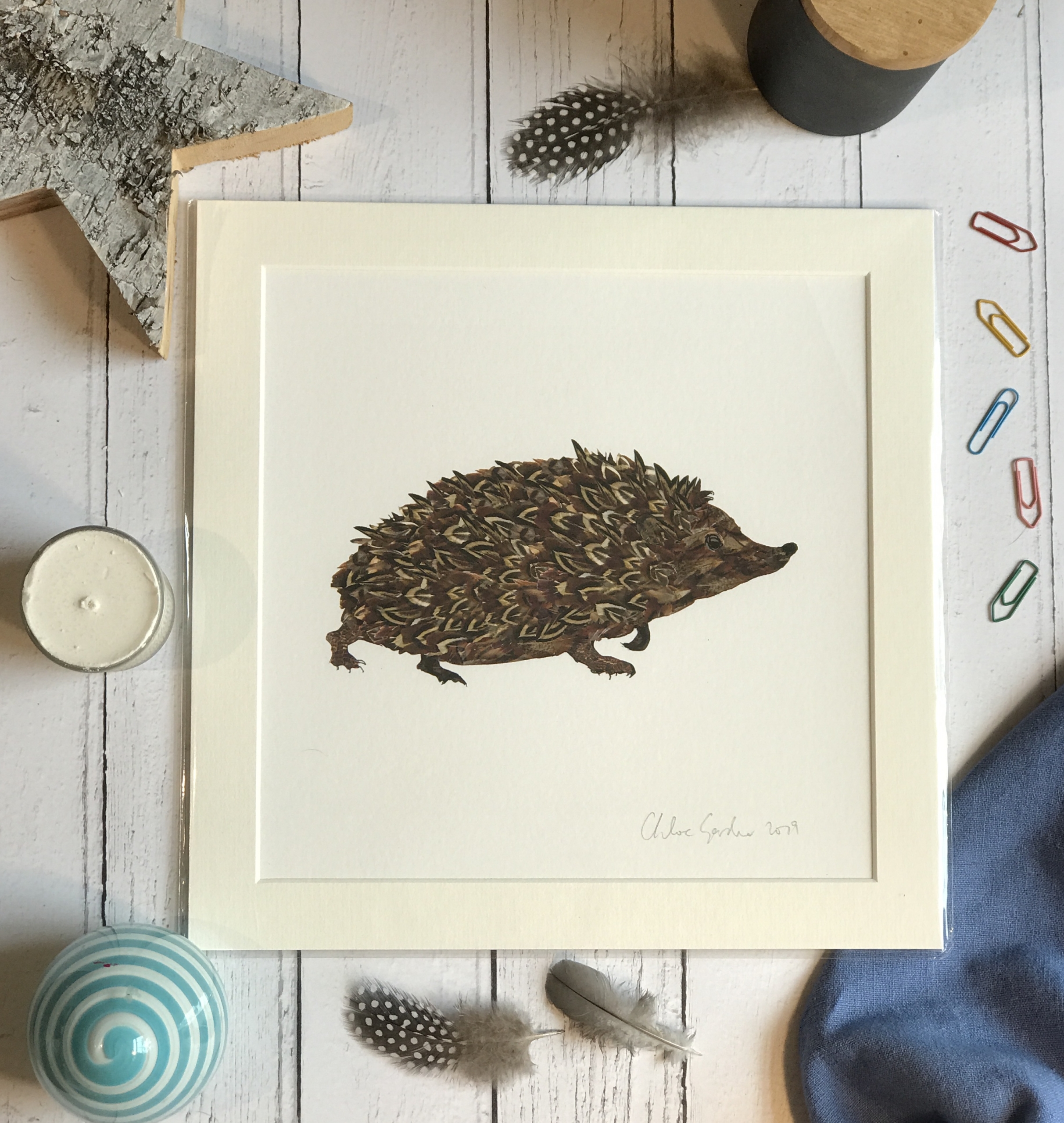 Unframed Print - Square in a mount and bag for 12 inch frame - Hedgehog (Avail:4 02/24)