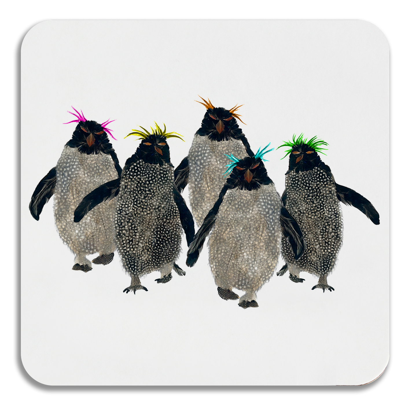 COASTER - Square - Rockhopper Penguin Group of Five