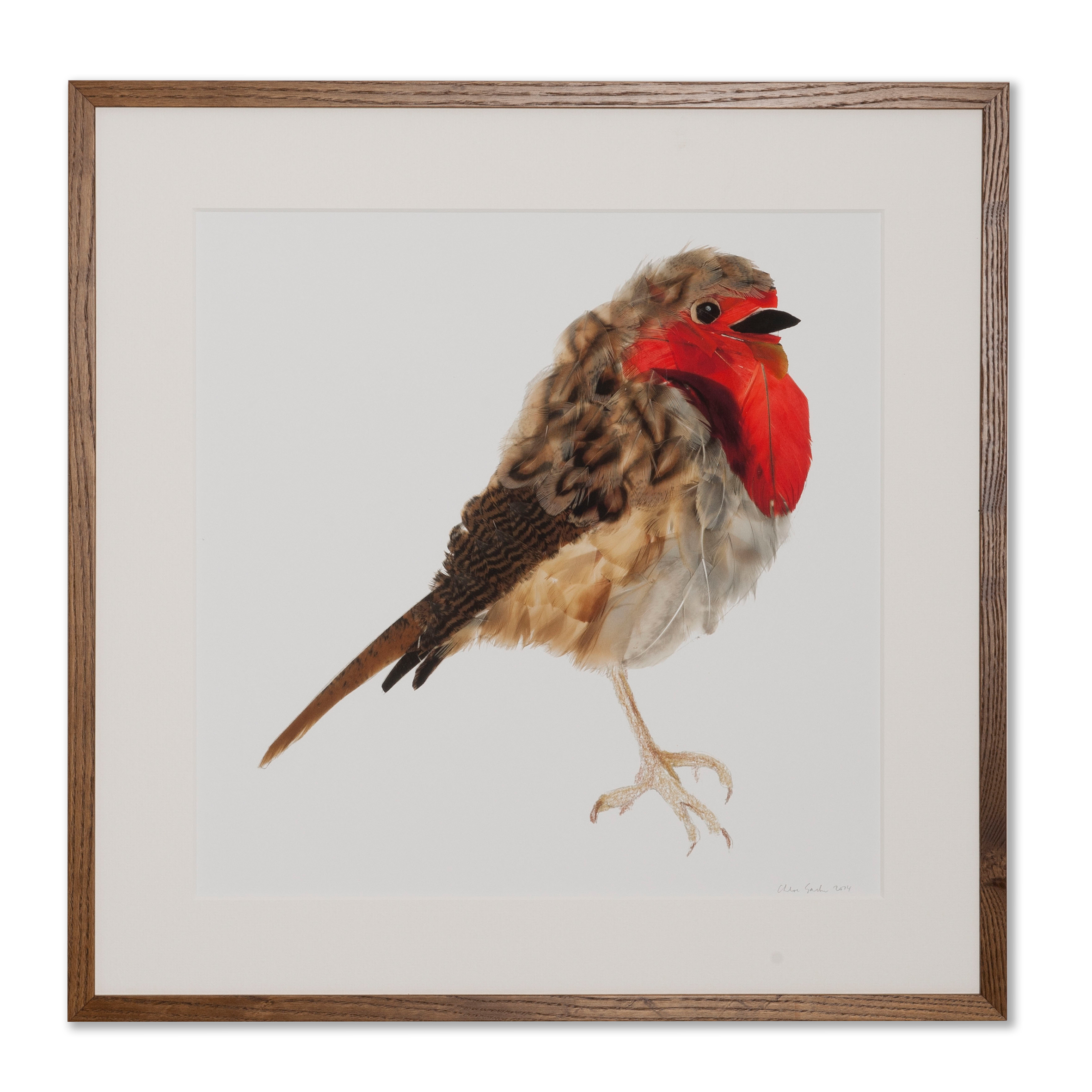 Order a Robin Print - various sizes available.