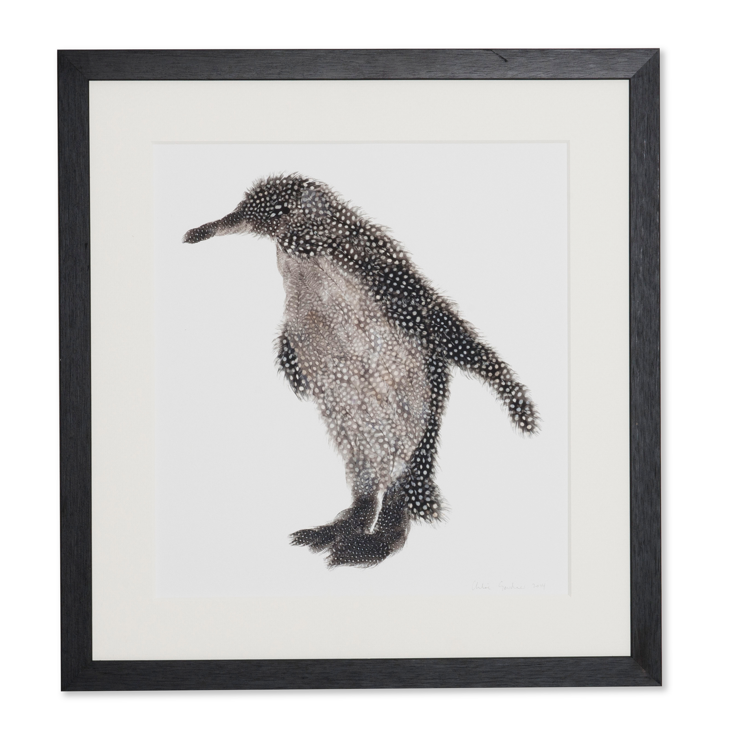 Order a Penguin print - Various sizes