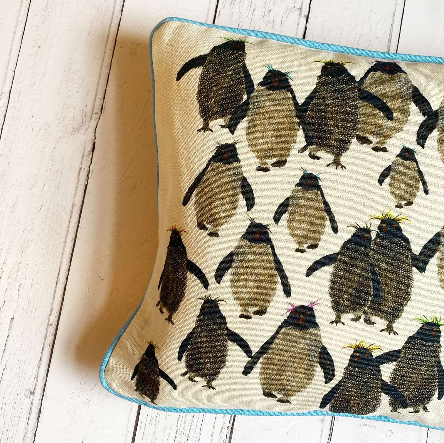 Rockhopper repeat cushion B small blue piping close up detailed shop