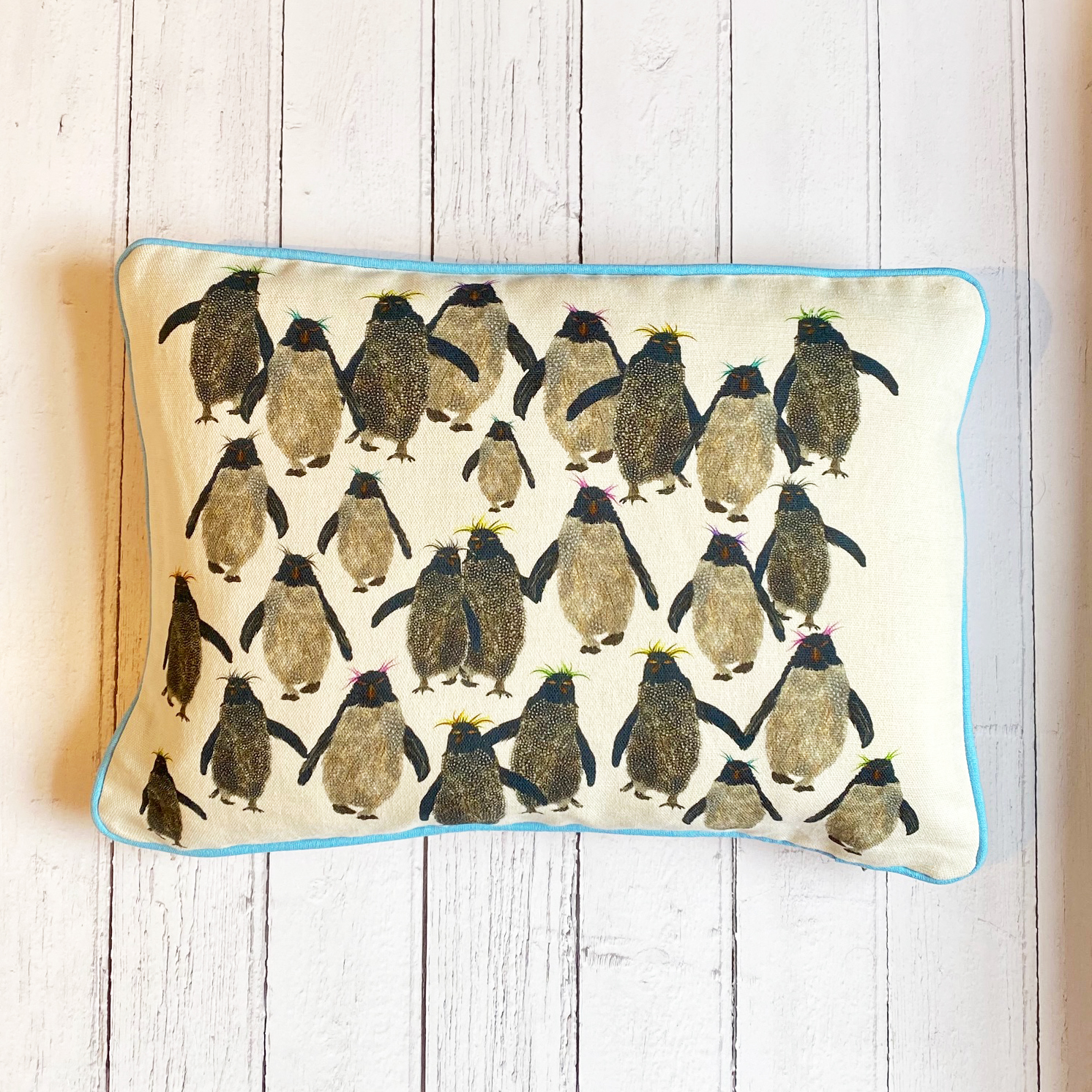 Rockhopper repeat cushion small with blue piping onwhite wood A