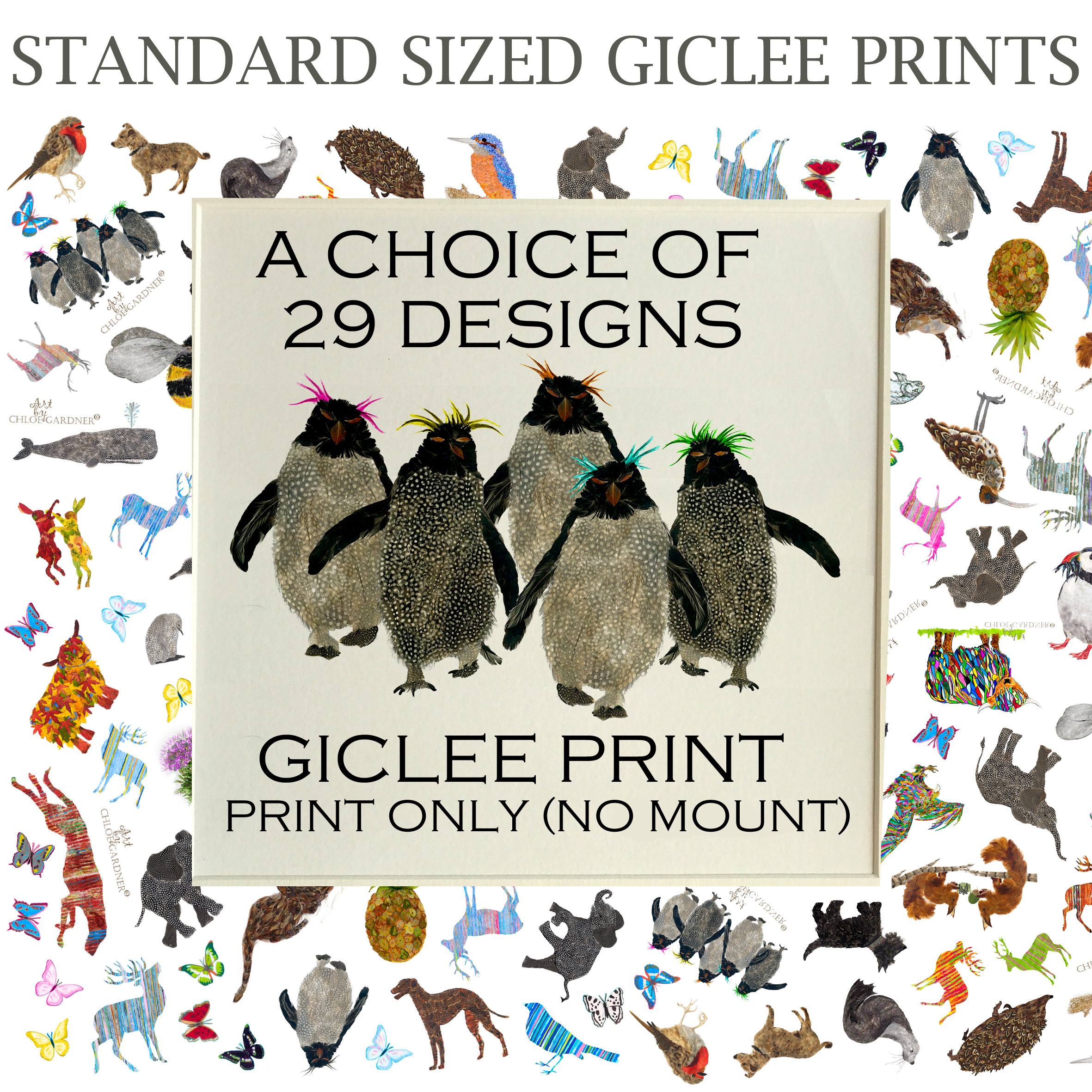 UNFRAMED SQUARE GICLEE Print - NO MOUNT - Medium - VARIOUS DESIGNS