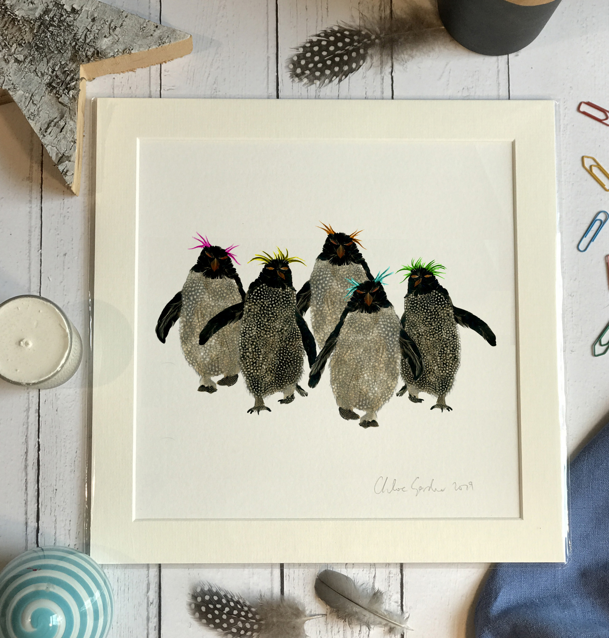 Mini Print - Square in a mount and bag for 8 inch frame - Group of Rockhopper penguins (Avail:3 02/24)