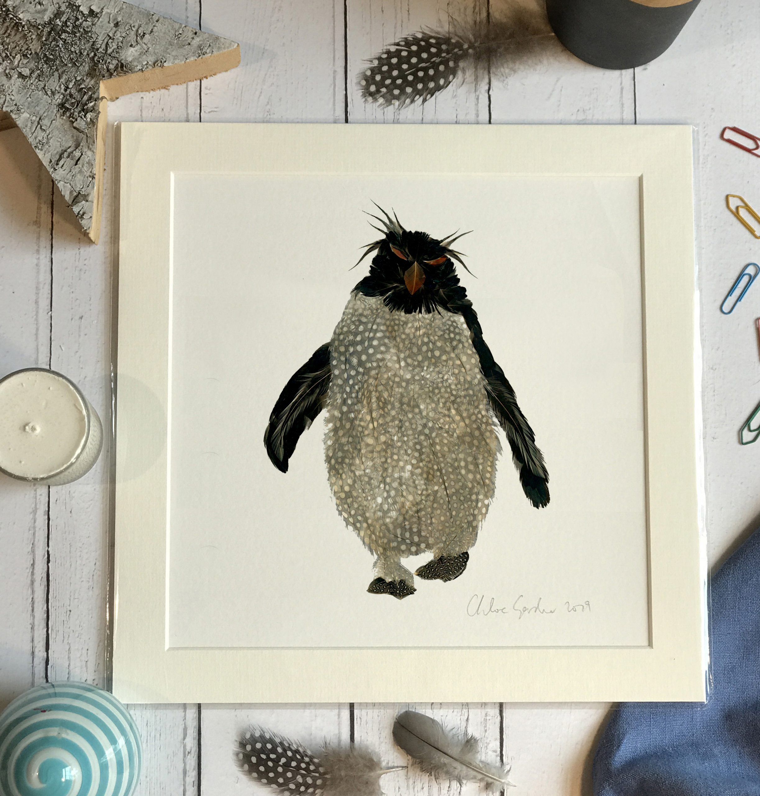 Unframed Print - Square in a mount and bag for a 12 inch frame - Single rockhopper with mad grey hair (Avail:1 02/24)