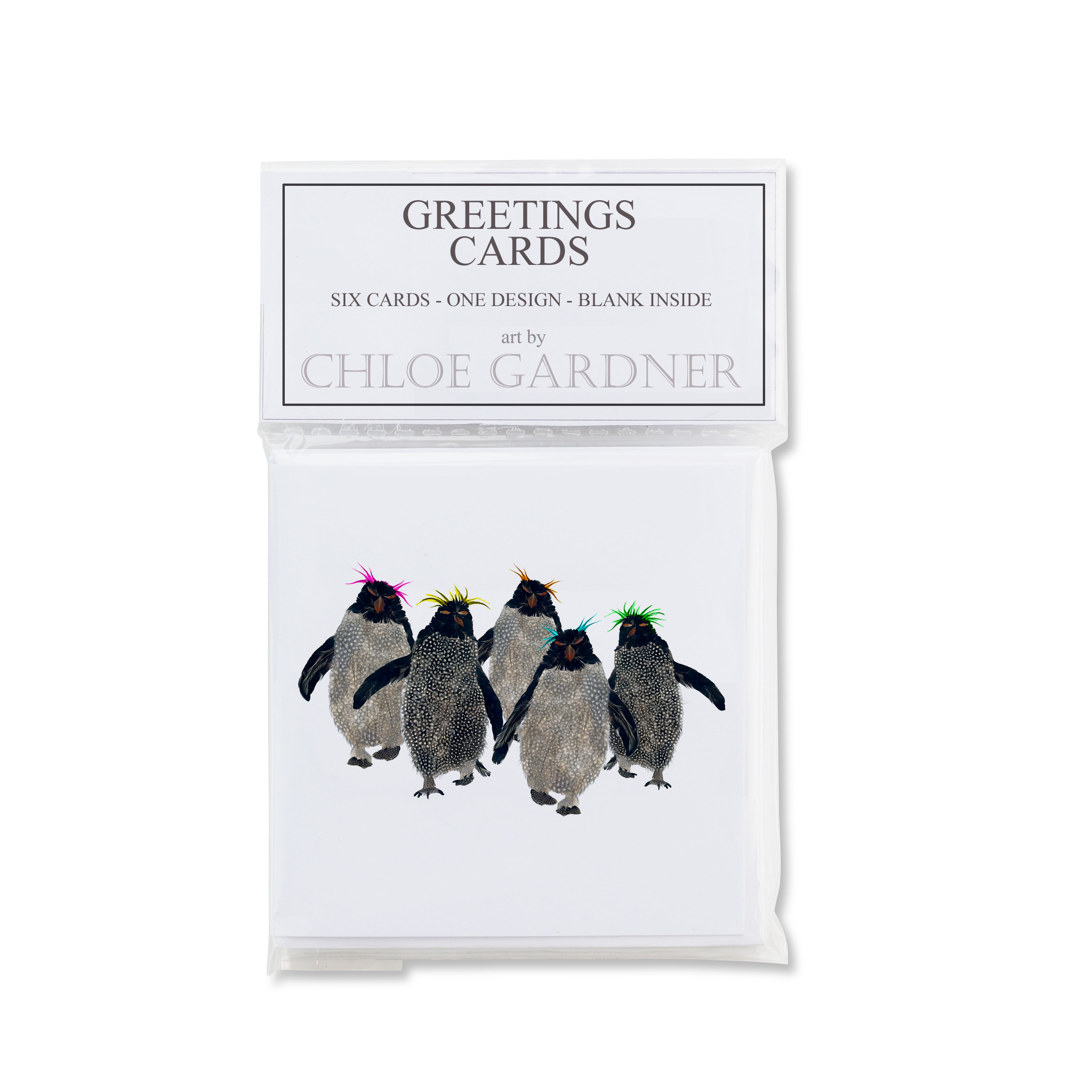 MINI SQUARE CARD PACK - Rockhopper Penguin Design