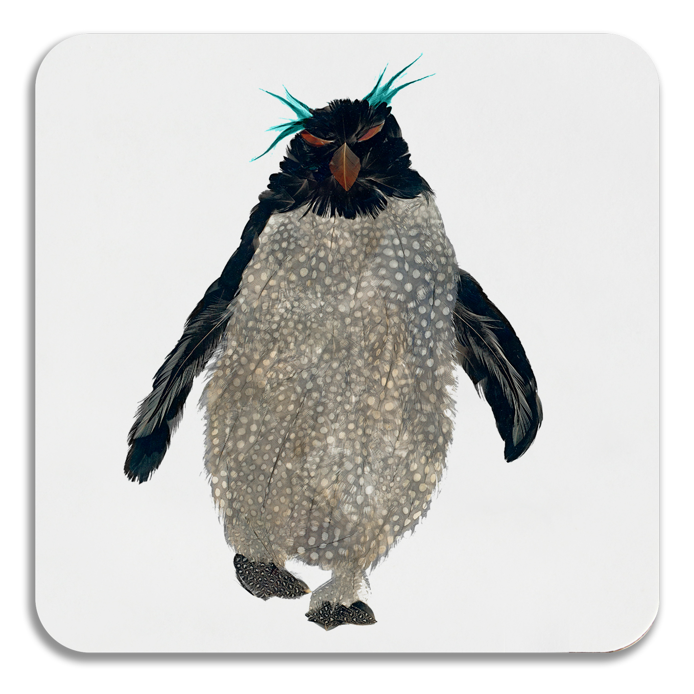COASTER - Light Rockhopper with Turquoise Top Design