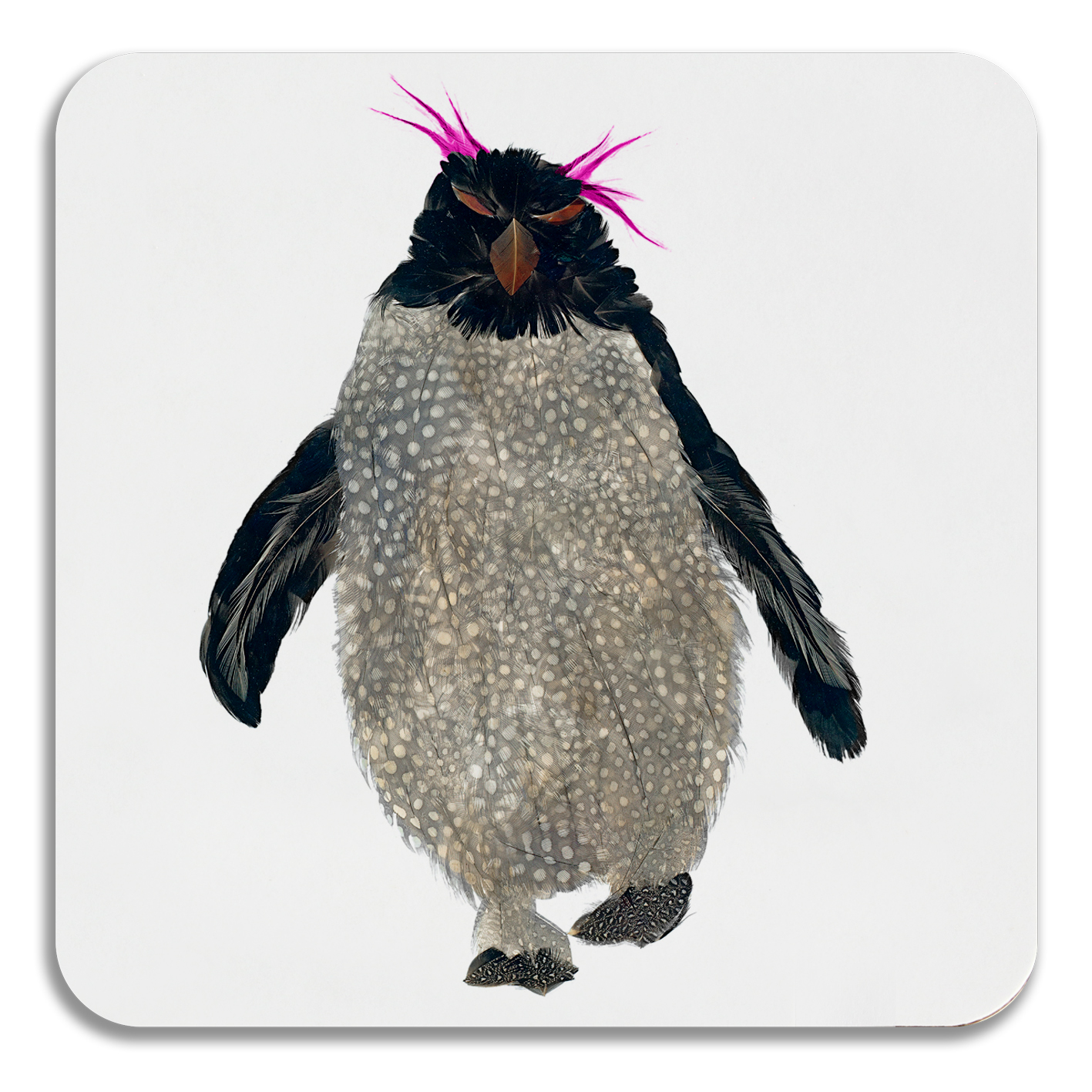COASTER - Light Rockhopper with Pink Top Design