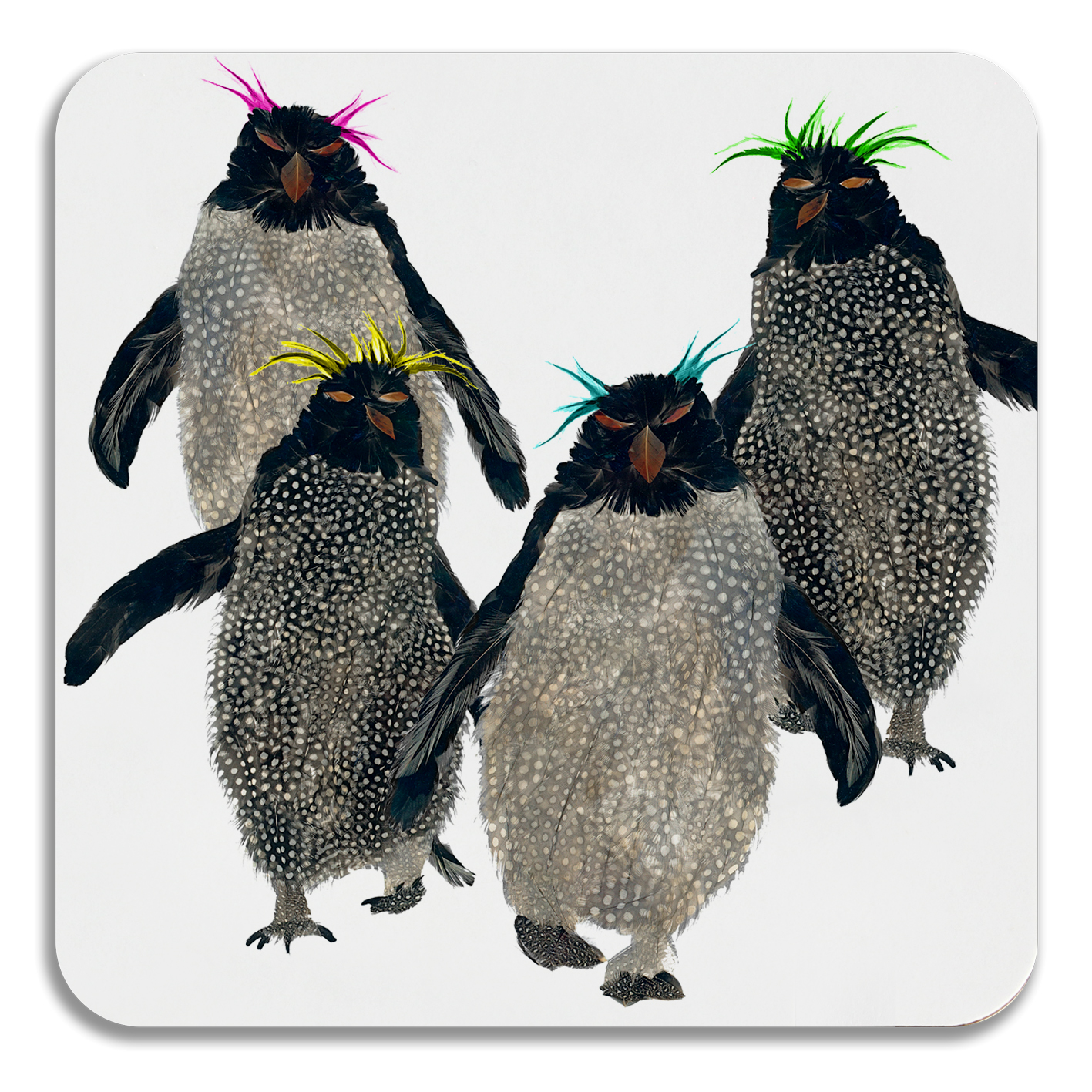 COASTER - Rockhoppers with bright tops Design