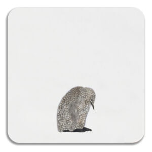 COASTER- Square - Penguin baby
