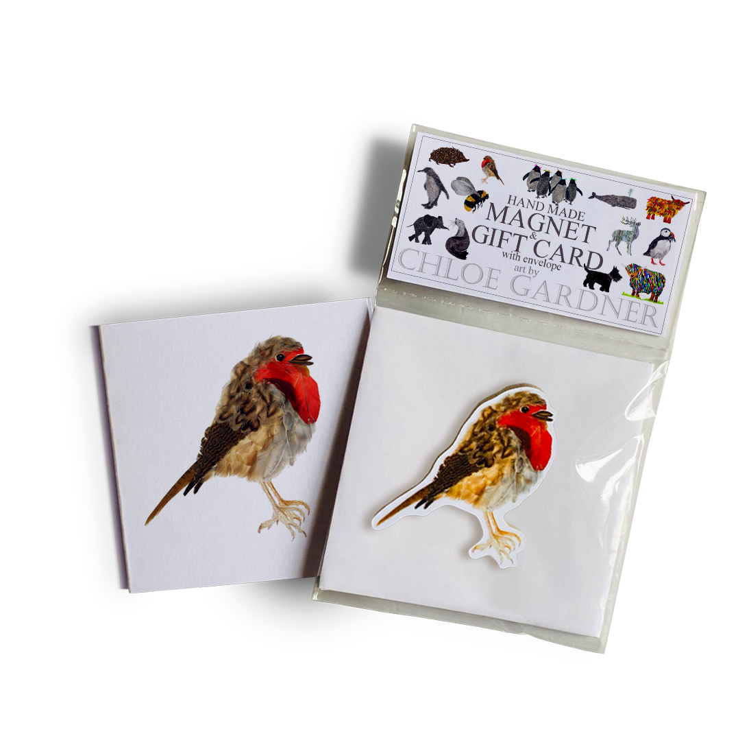 Magnet ROBIN