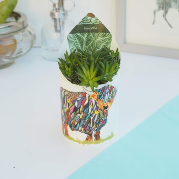 Ceramic Pot with Cactus Plant Bright Highland Cow