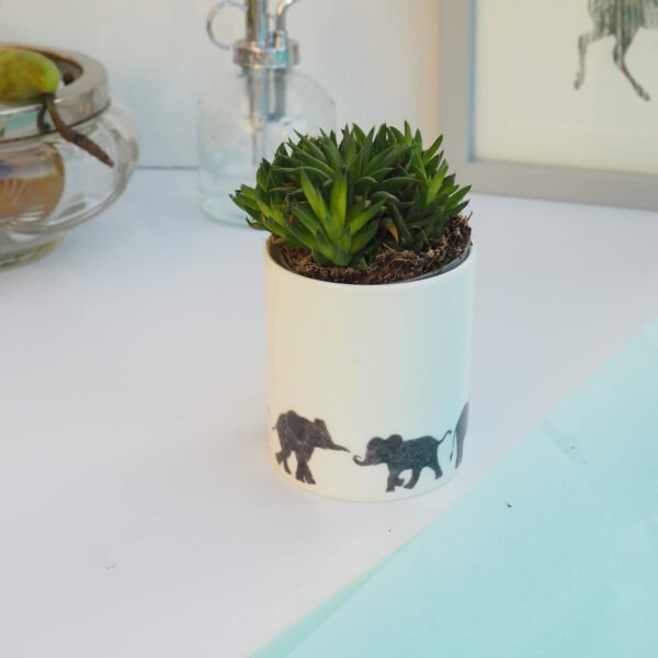 Ceramic Pot with Cactus Plant Elephants