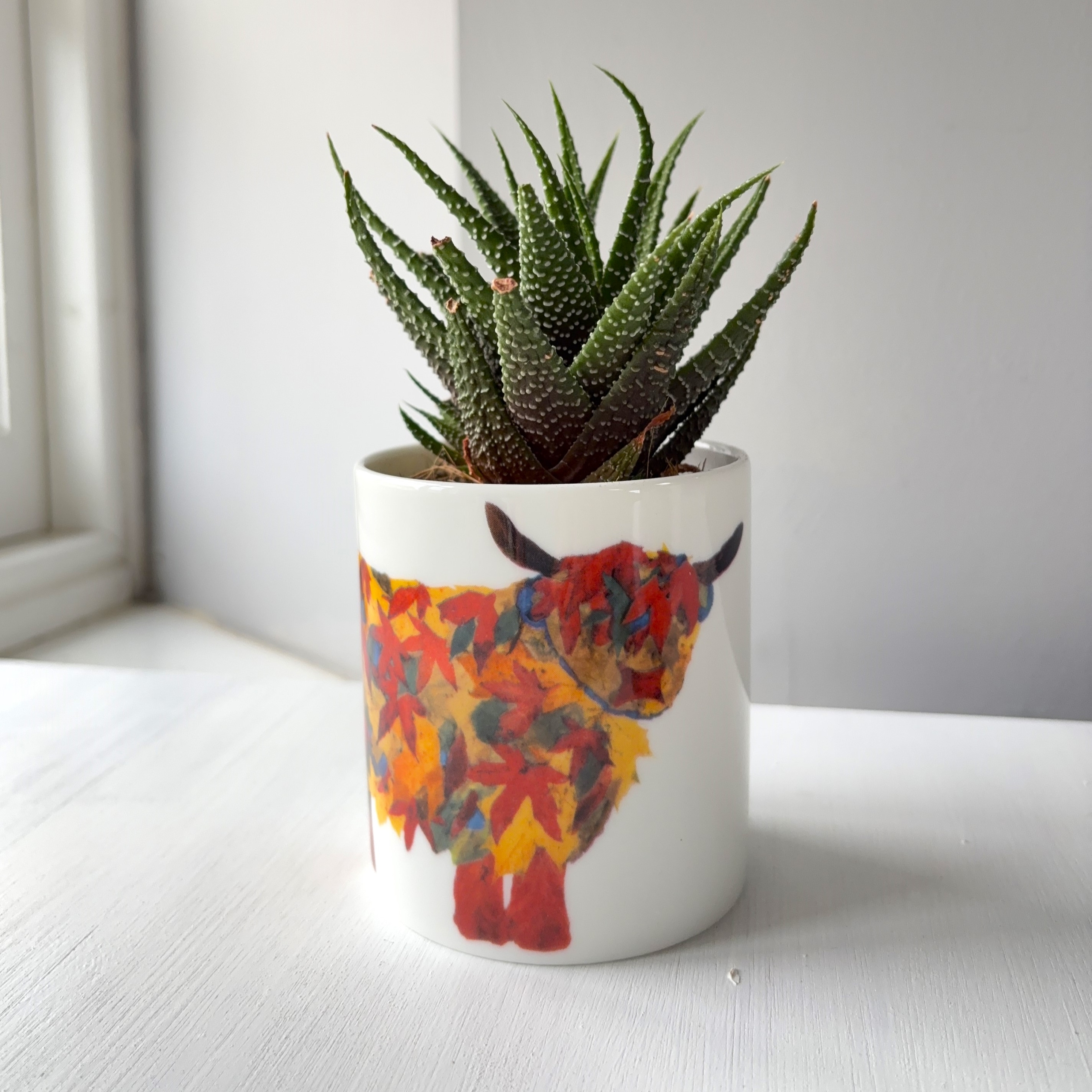 Ceramic Pot with Cactus Plant Leaf Highland Cow
