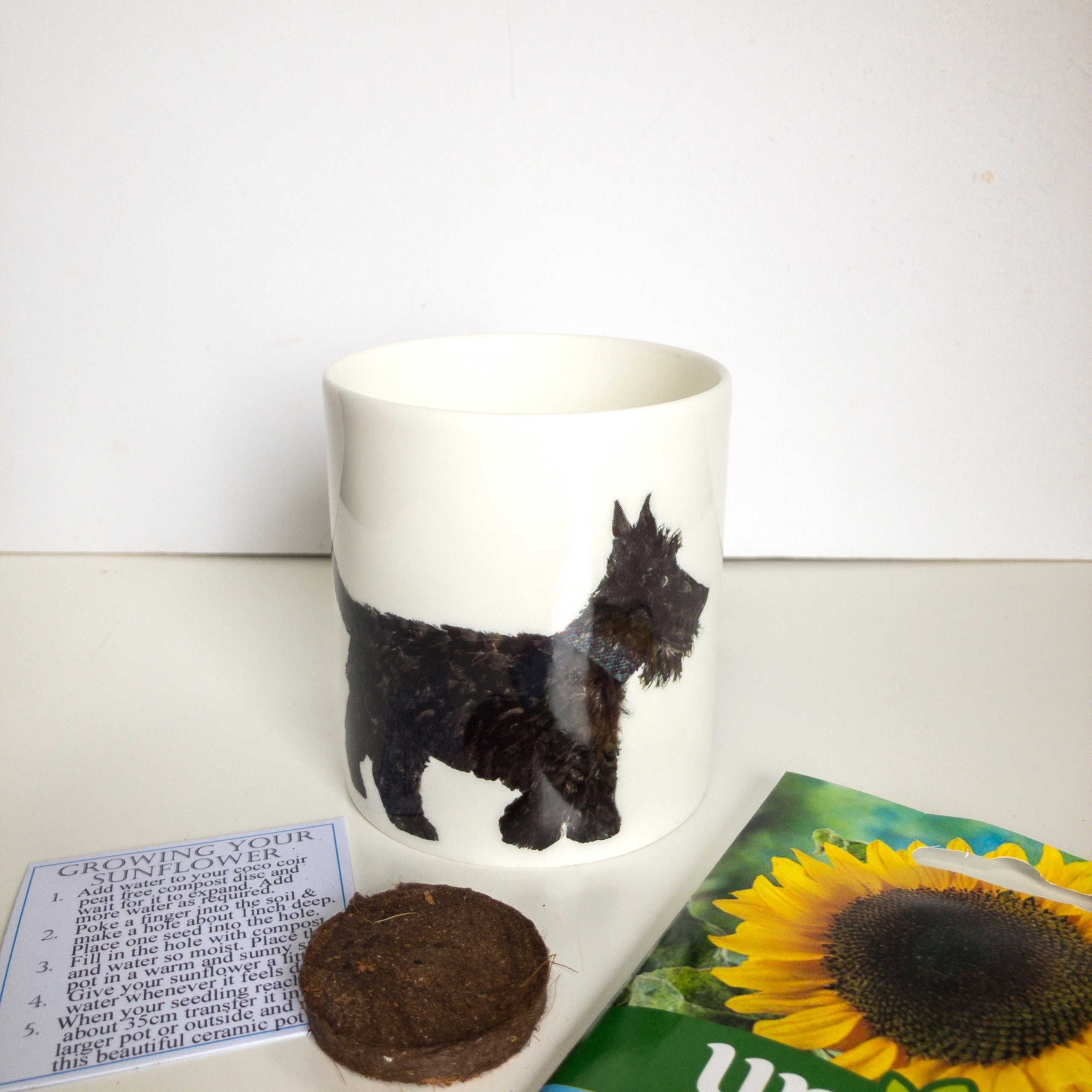 Fine Bone China Pot with Sunflower Seed Scottie Dogs (Large)
