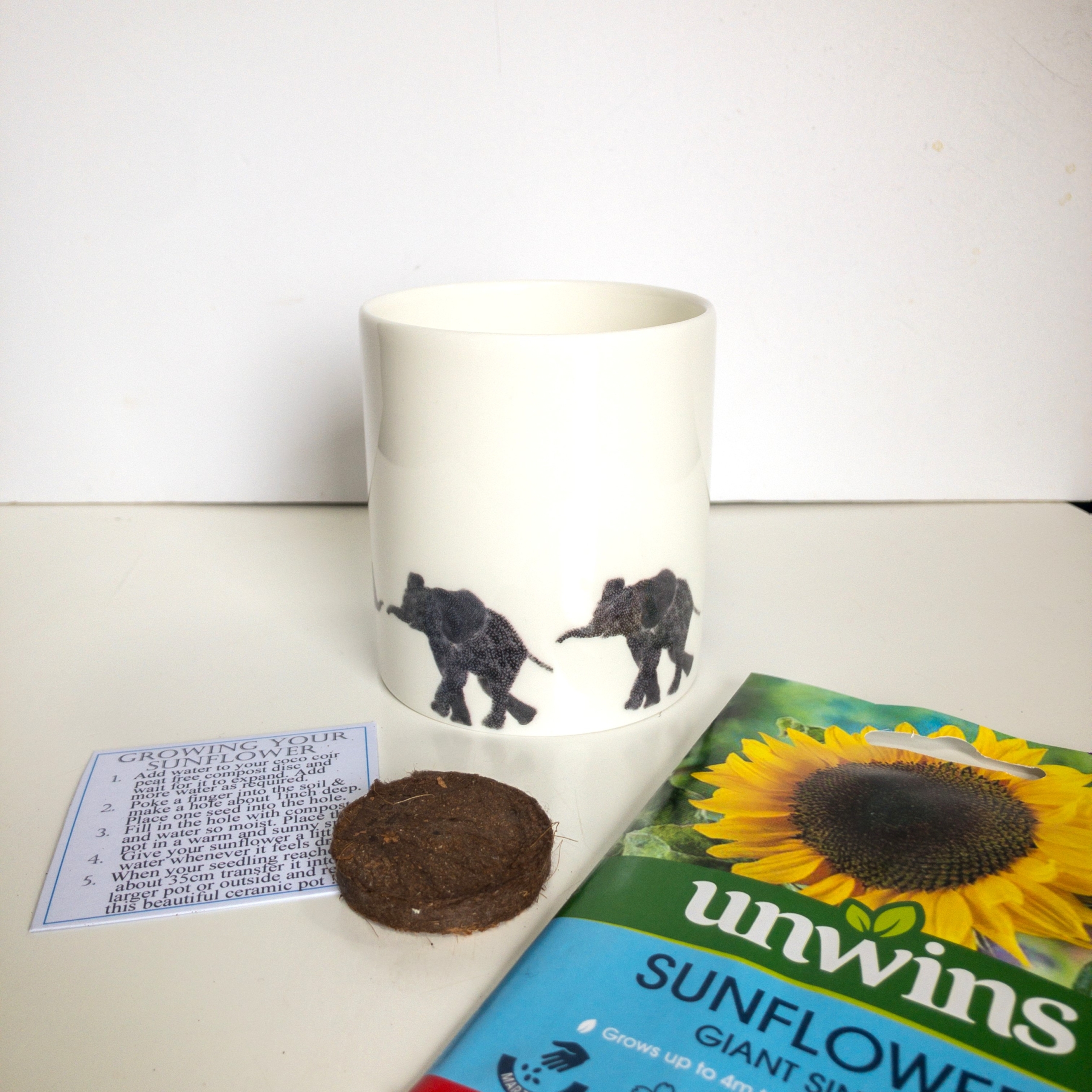 Fine Bone China Pot with Sunflower Seed Elephant Parade