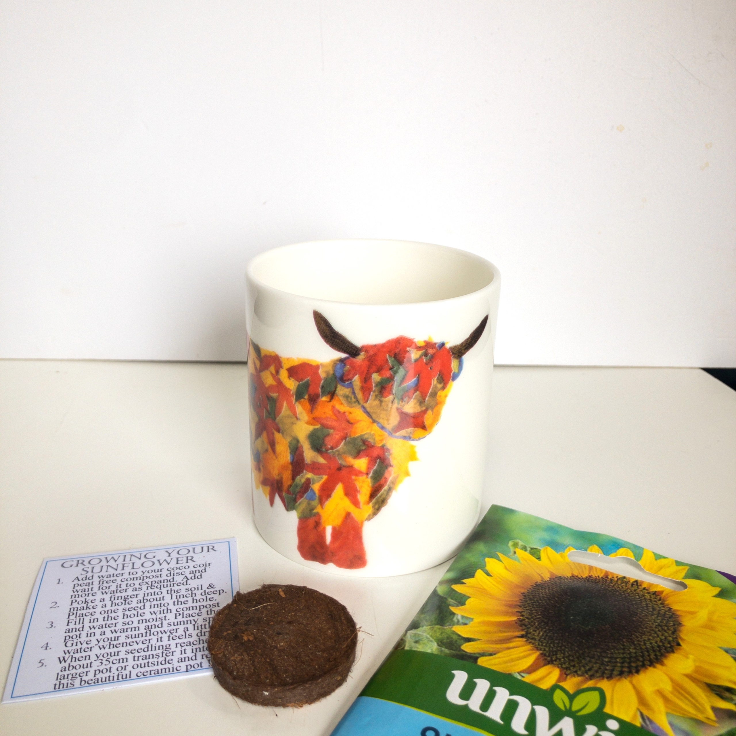 Leaf Highland COw sunflower seed pot set pictured on a white background