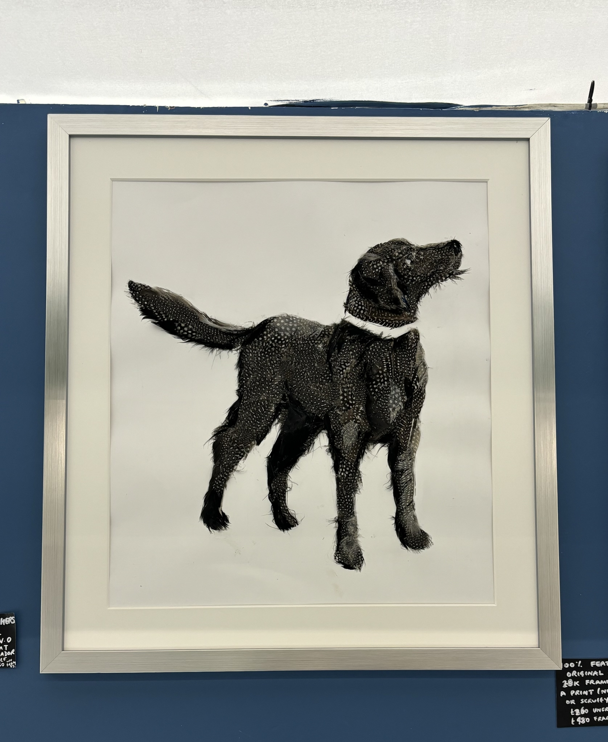 Original feather Labrador