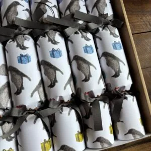 Penguin Christmas Crackers