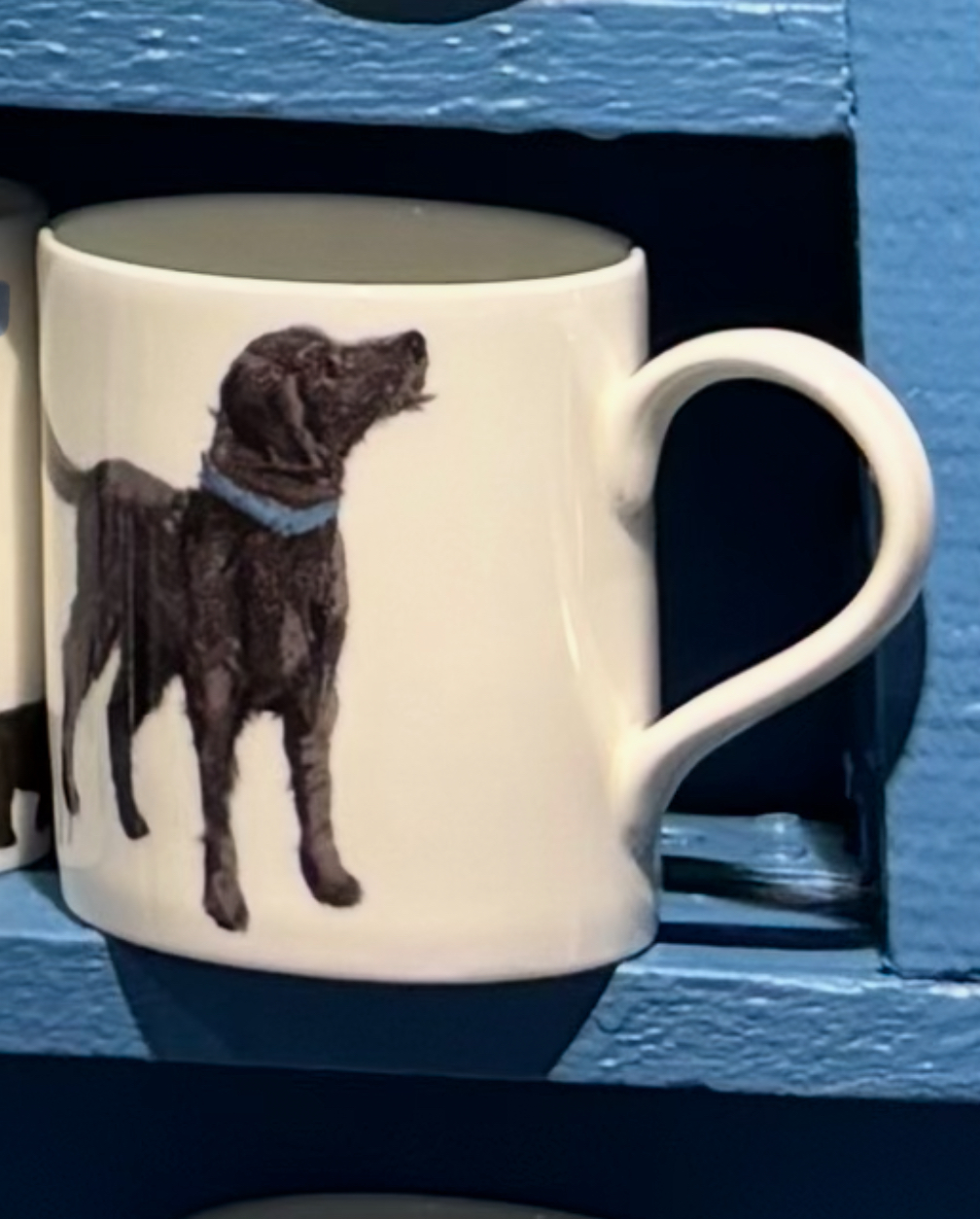 POP MUG - Feather Labradoodle Dog Design