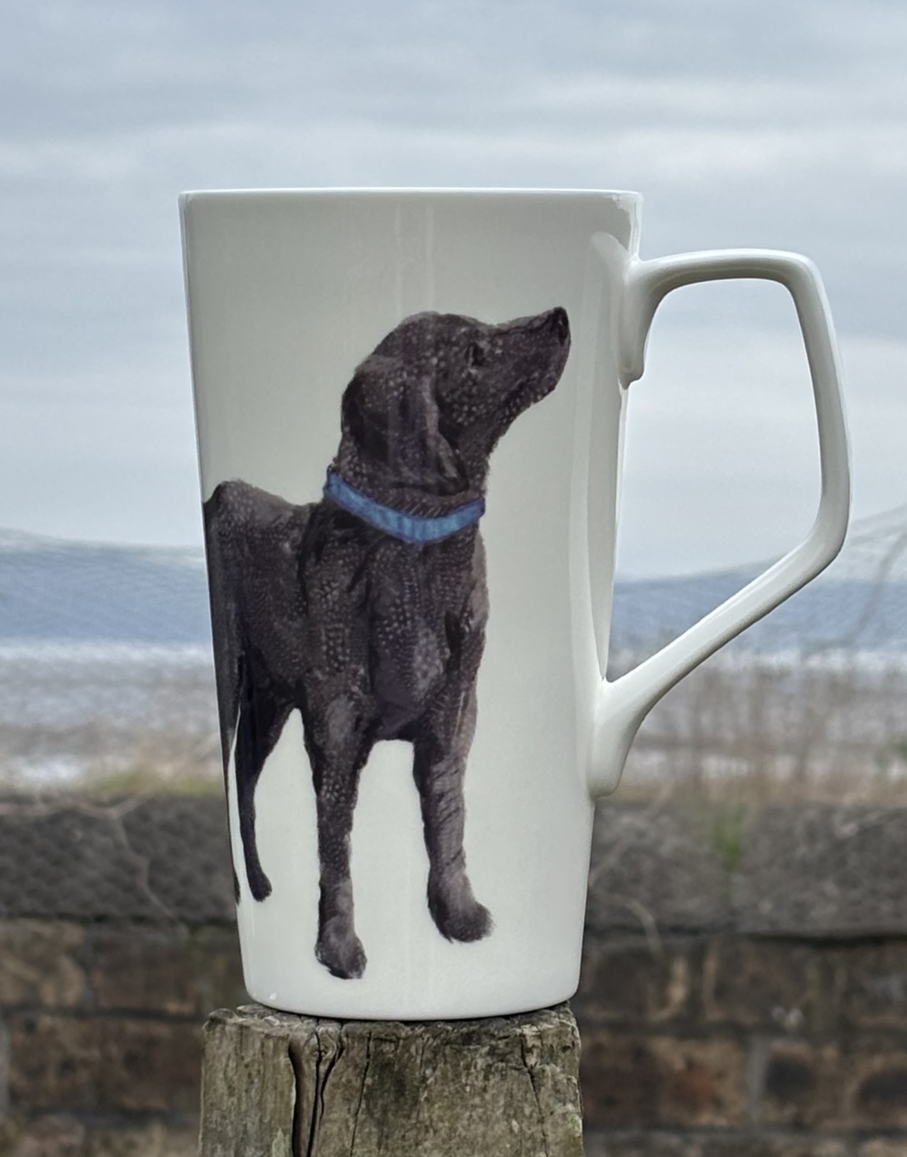 LATTE MUG -  Feather Labrador Dog Design