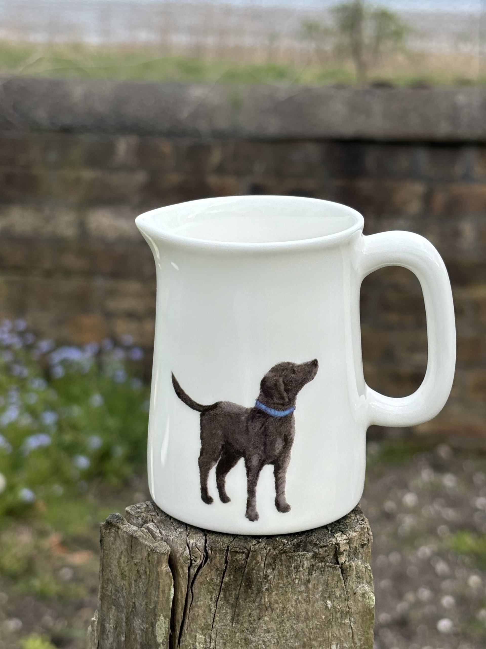 Labrador mini fine bone china jug quarter pint