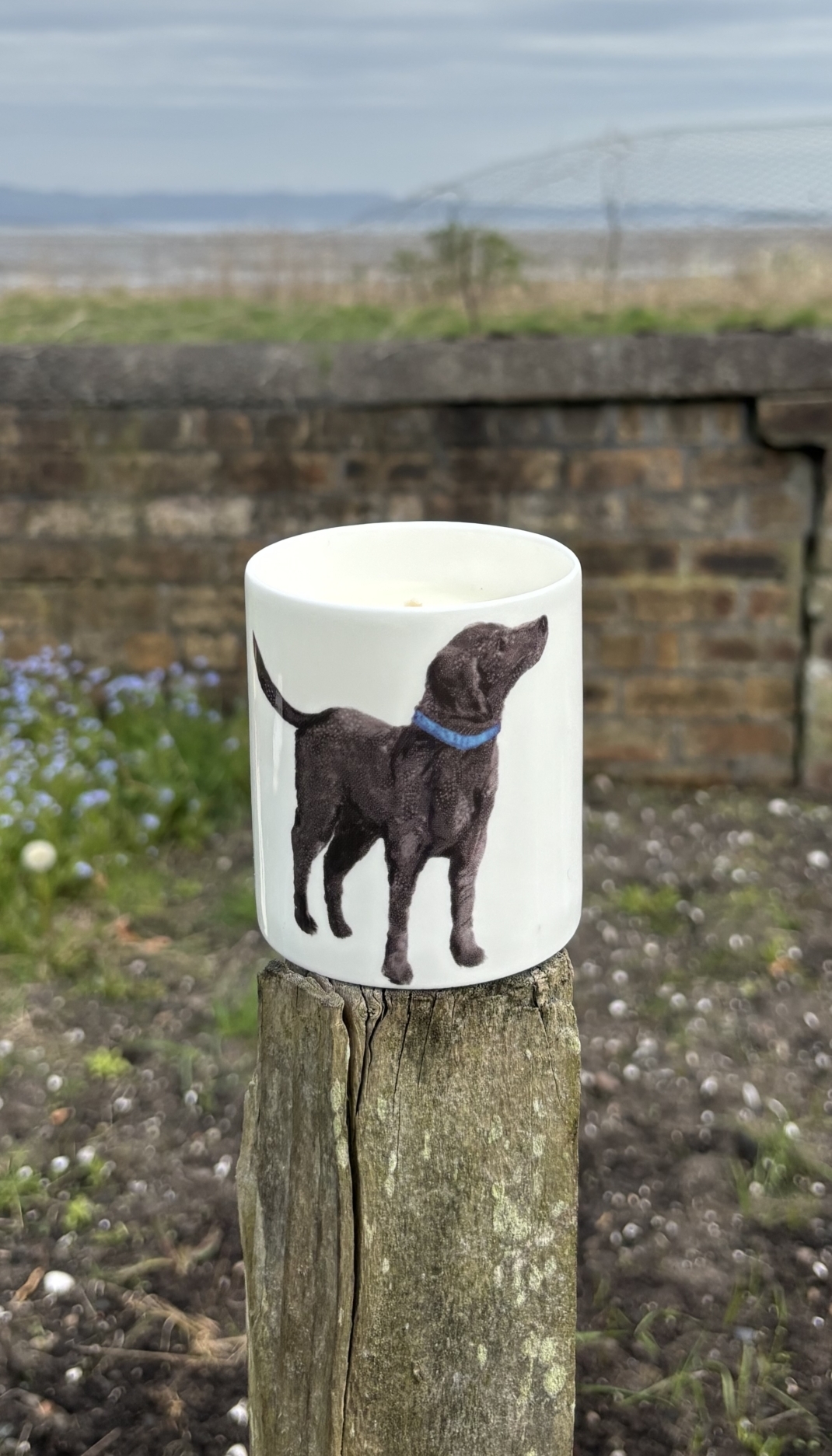 CANDLE - Feather Labrador Dog hand poured ceramic pot candle in a gift box