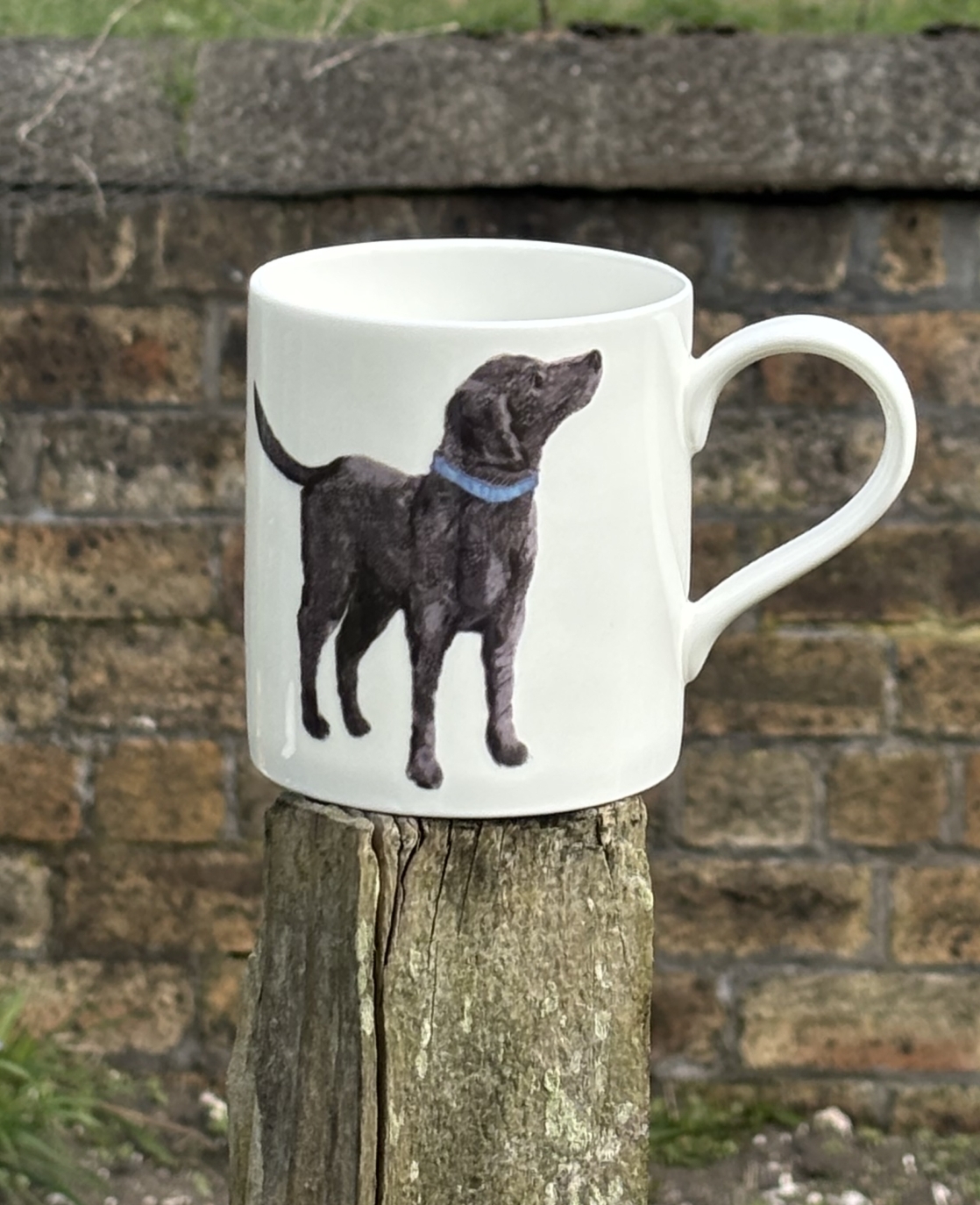 POP MUG - FEATHER LABRADOR DOG