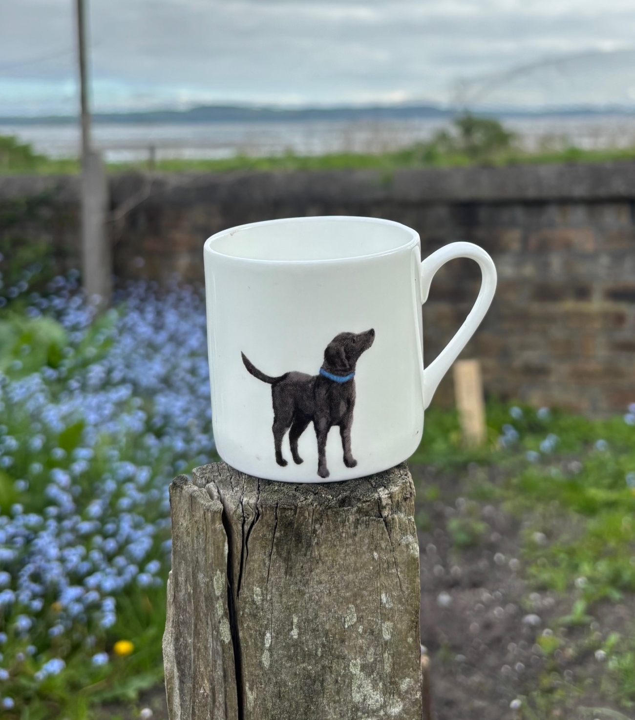 Espresso Mug - Feather Labrador Design